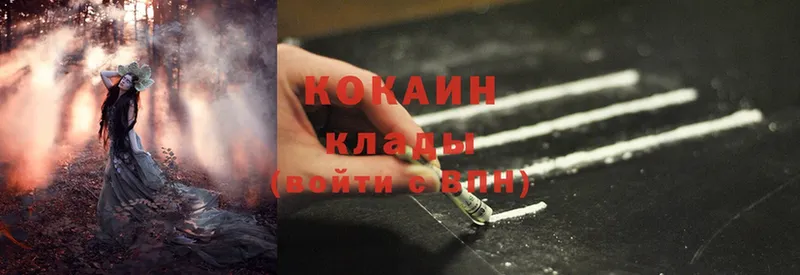 как найти закладки  Гусев  блэк спрут tor  Cocaine Боливия 